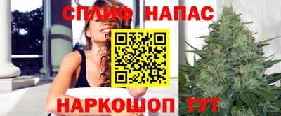 ГАЛЛЮЦИНОГЕННЫЕ ГРИБЫ Моздок