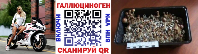 Галлюциногенные грибы мухоморы MEGA как зайти Реутов