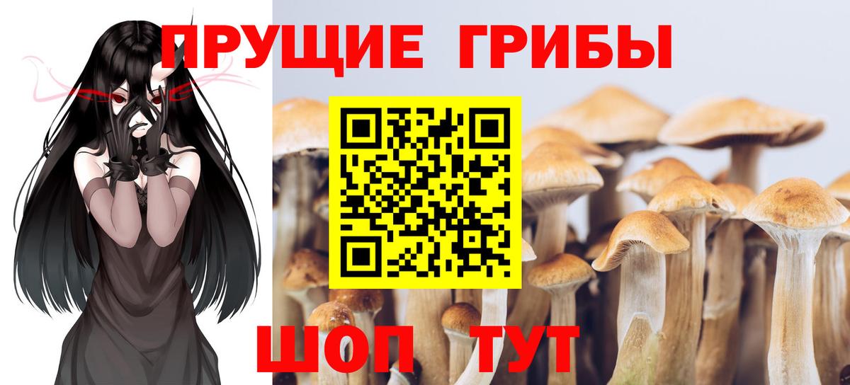 Галлюциногенные грибы прущие грибы Реутов