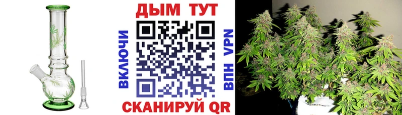 Каннабис сатива  магазин продажи   Реутов 